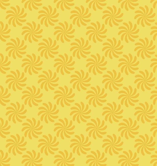 Banner nova coleção